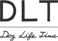 大阪阿倍野「DLT」トリミングサロン＆トイプードル、ティーカッププードル、チワワのブリーダー
